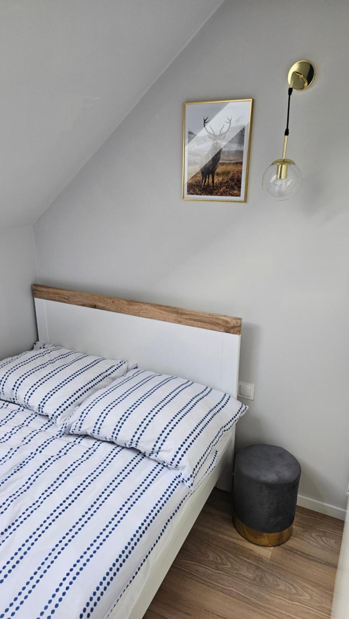 Apartamenty Nowickiego لوبلين المظهر الخارجي الصورة
